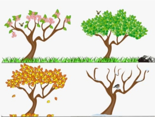 عواملی که بر رشد و تولید درختان میوه اثر دارند