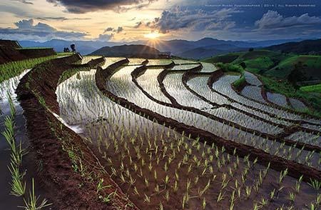 اهمیت کشاورزی در زندگی انسان